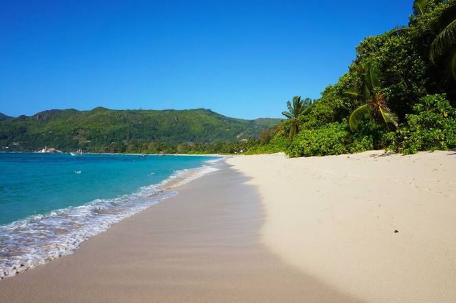 라 빌라 테레세