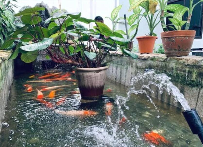 기타 사진