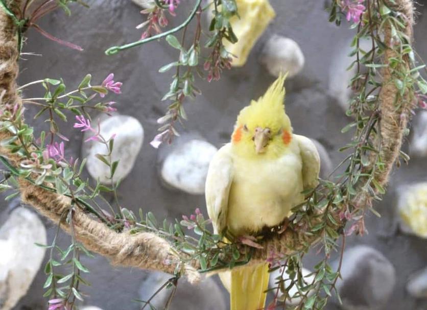 기타 사진