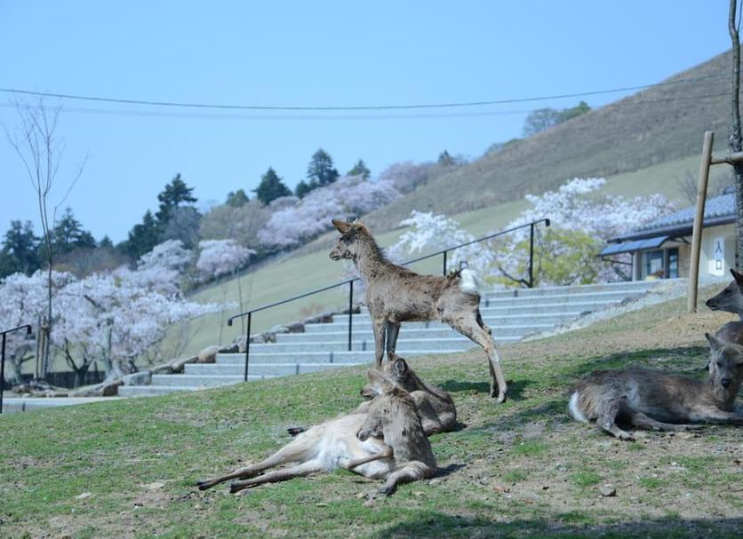 기타 사진