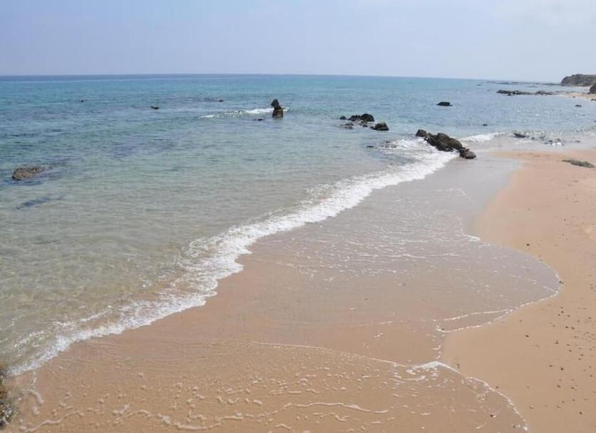 해변 사진