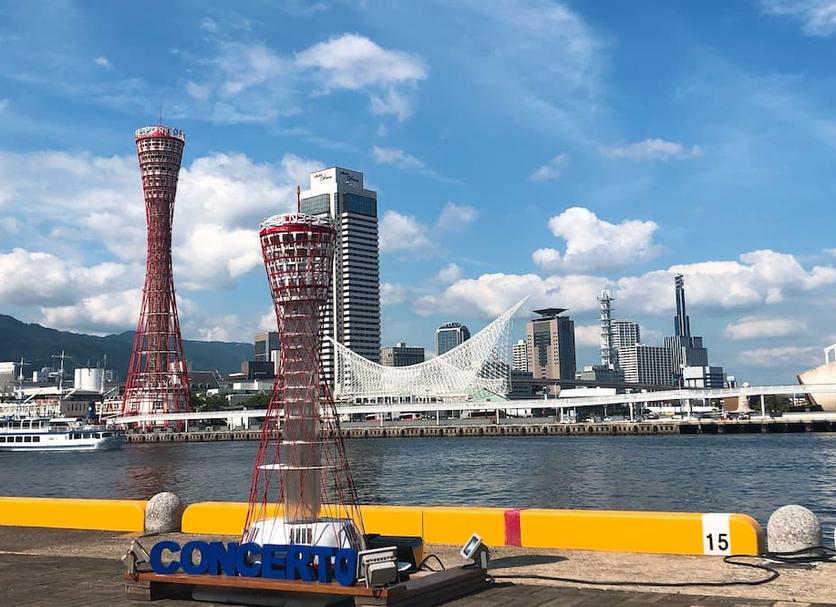 기타 사진