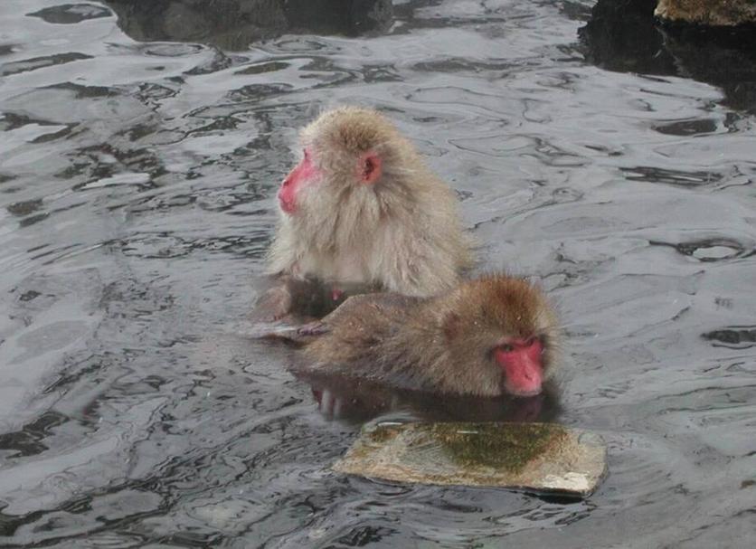 기타 사진