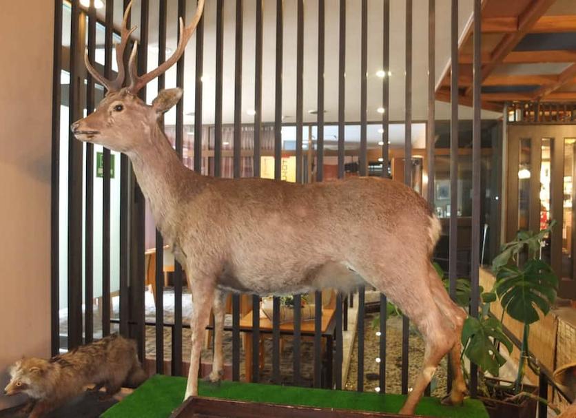 기타 사진