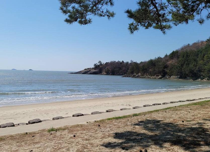 해변 사진