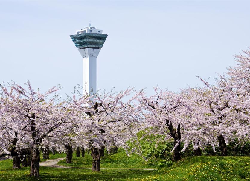 기타 사진