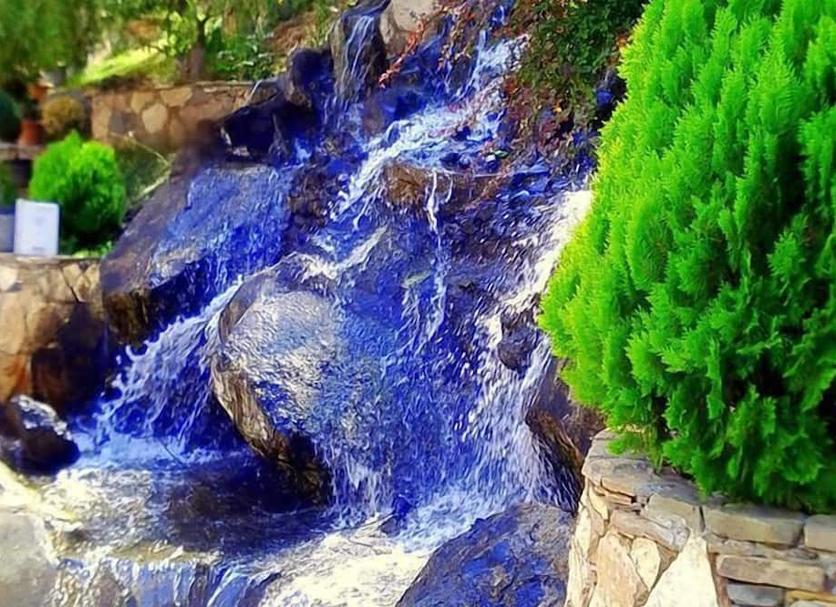 기타 사진