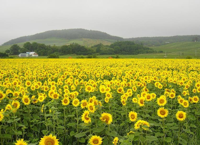 야외뷰 사진