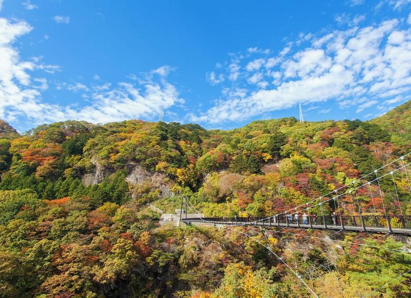 야외뷰 사진