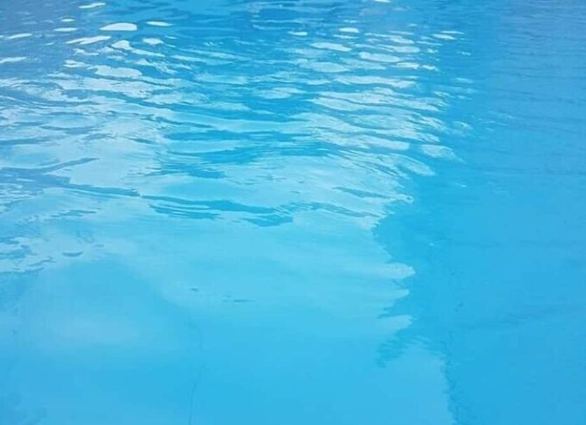 기타 사진