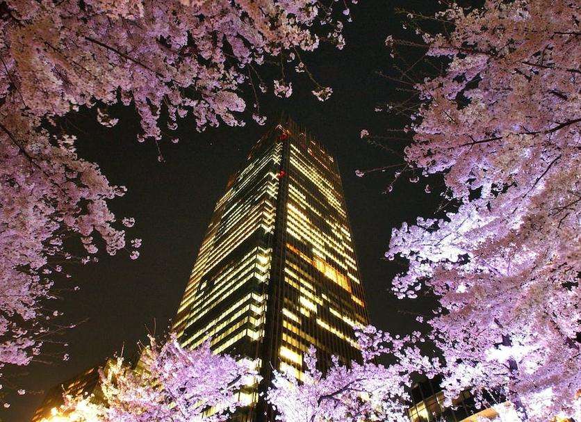 야외뷰 사진