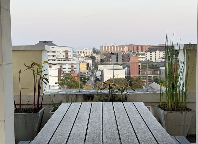 기타 사진