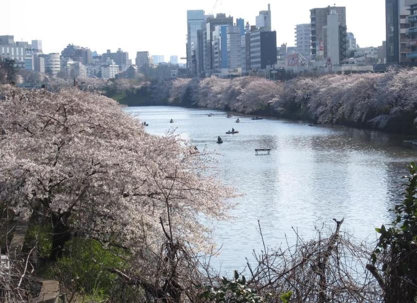 기타 사진
