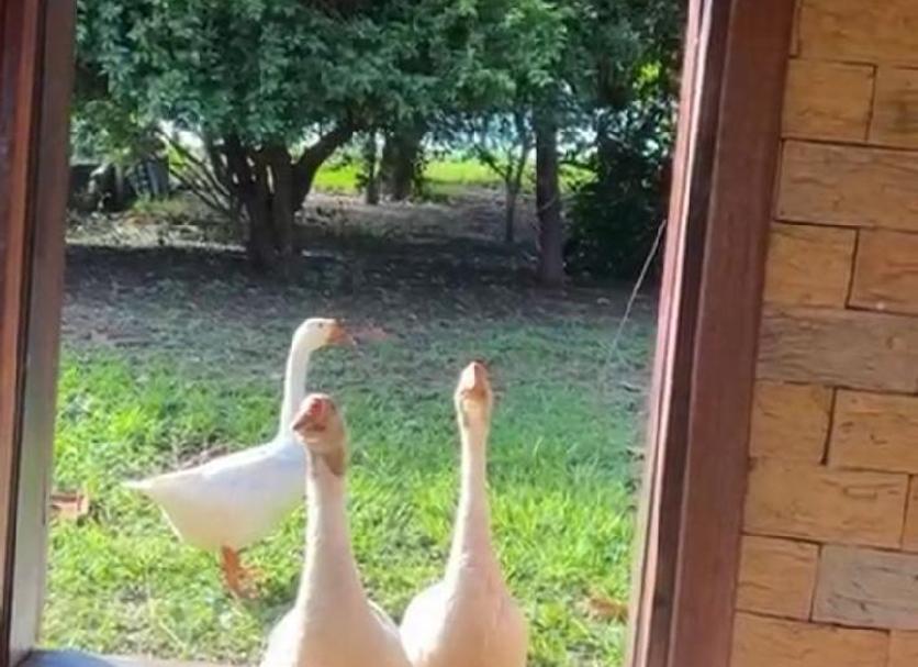기타 사진
