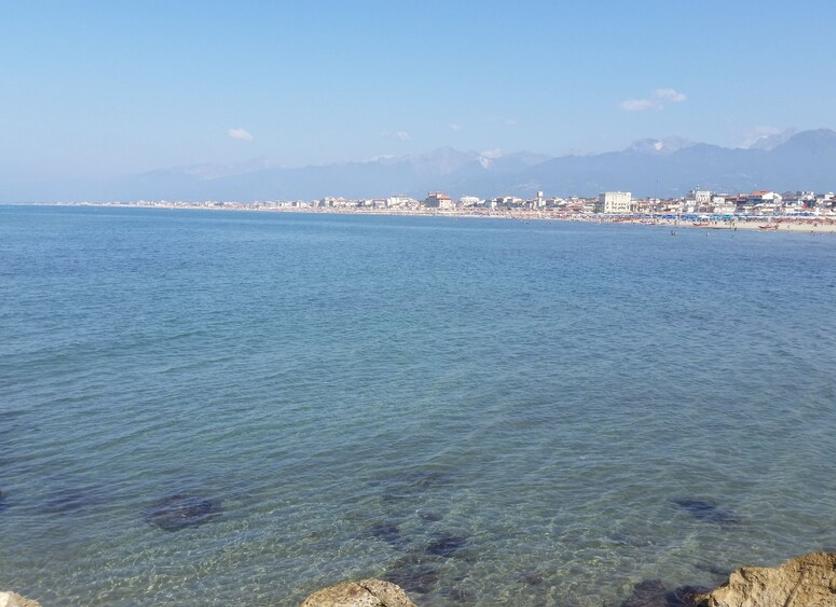 해변 사진