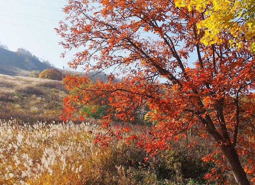 야외뷰 사진