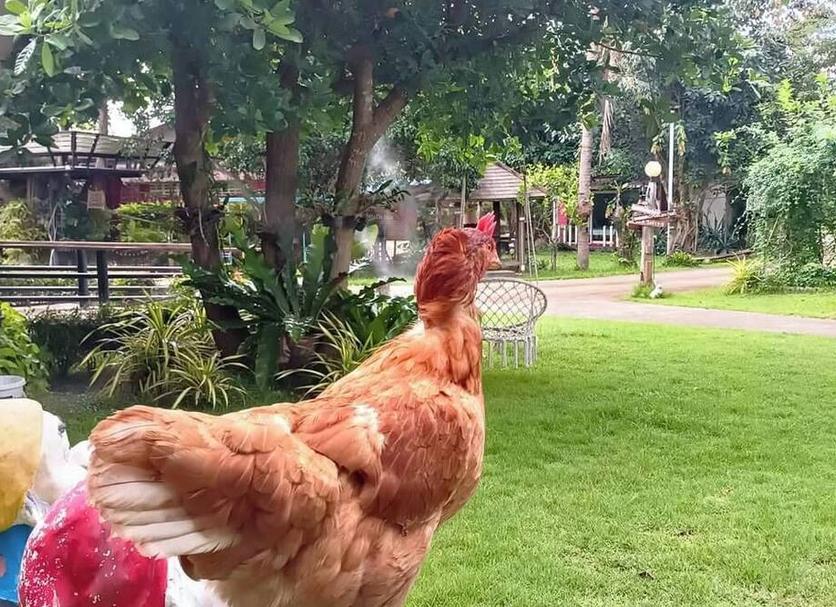 기타 사진