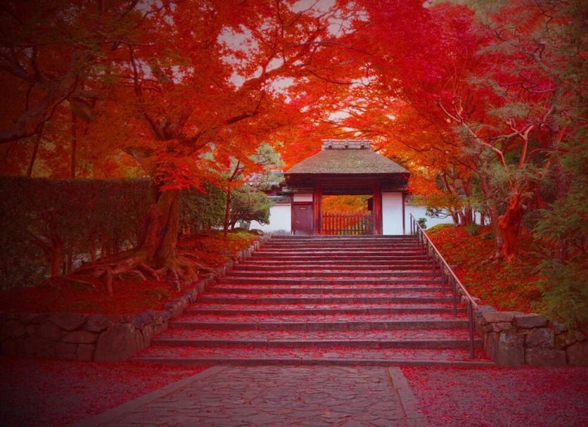 계단 사진