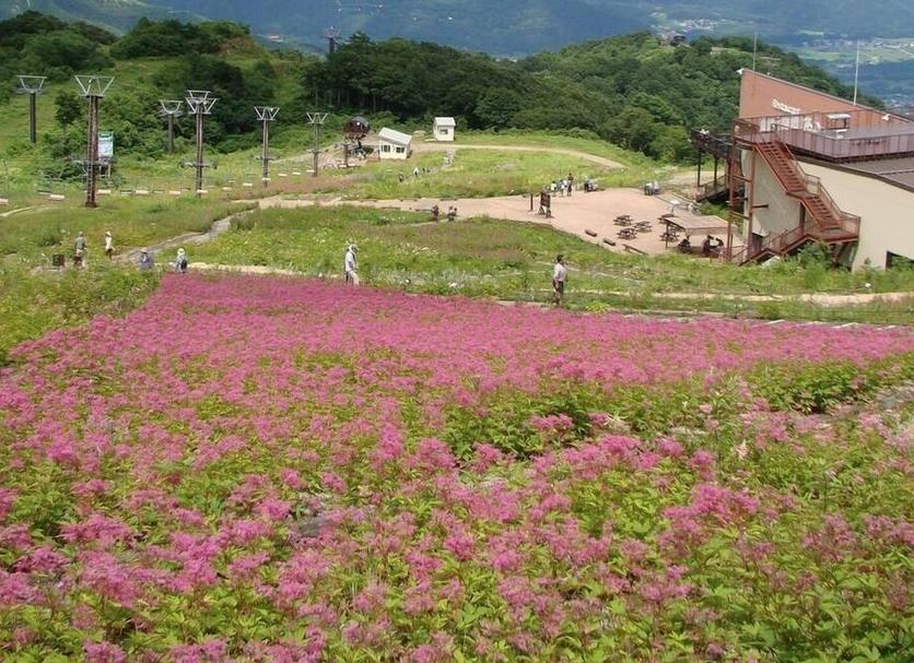 야외뷰 사진