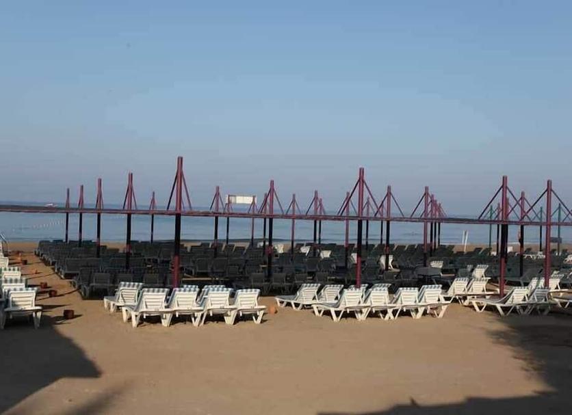 해변 사진