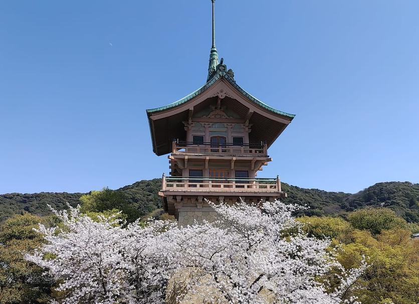 기타 사진