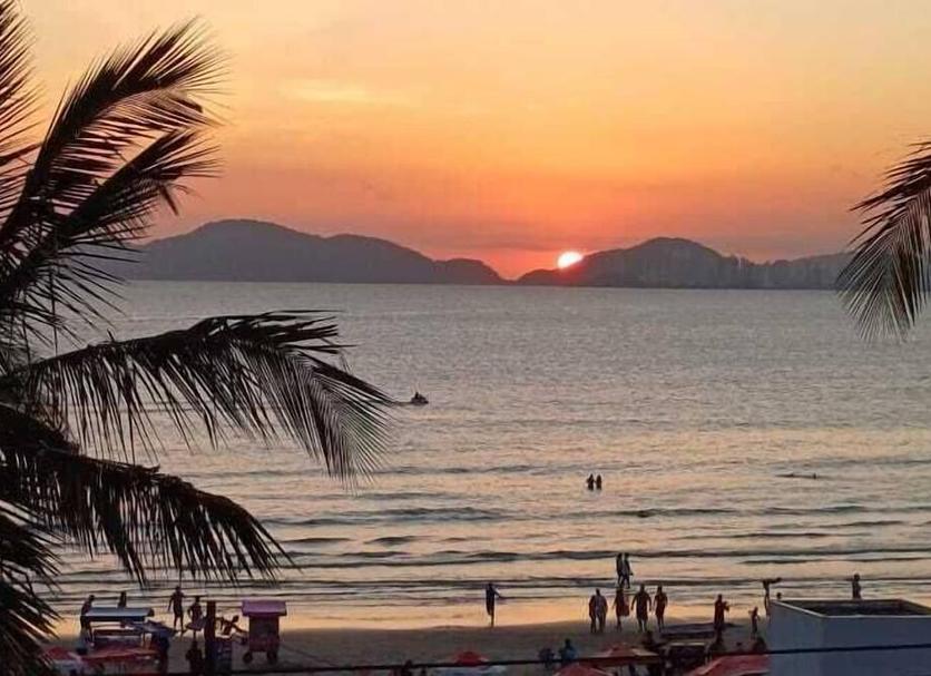기타 사진