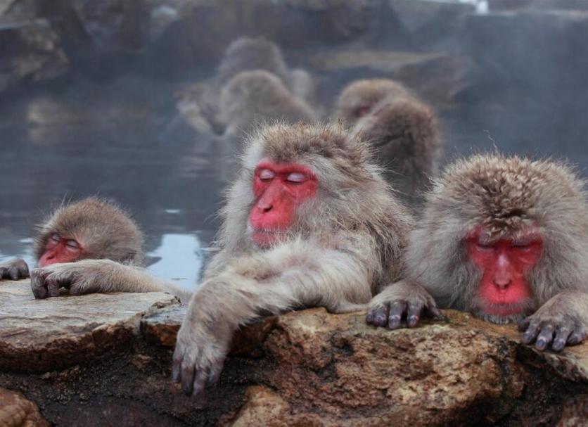 기타 사진