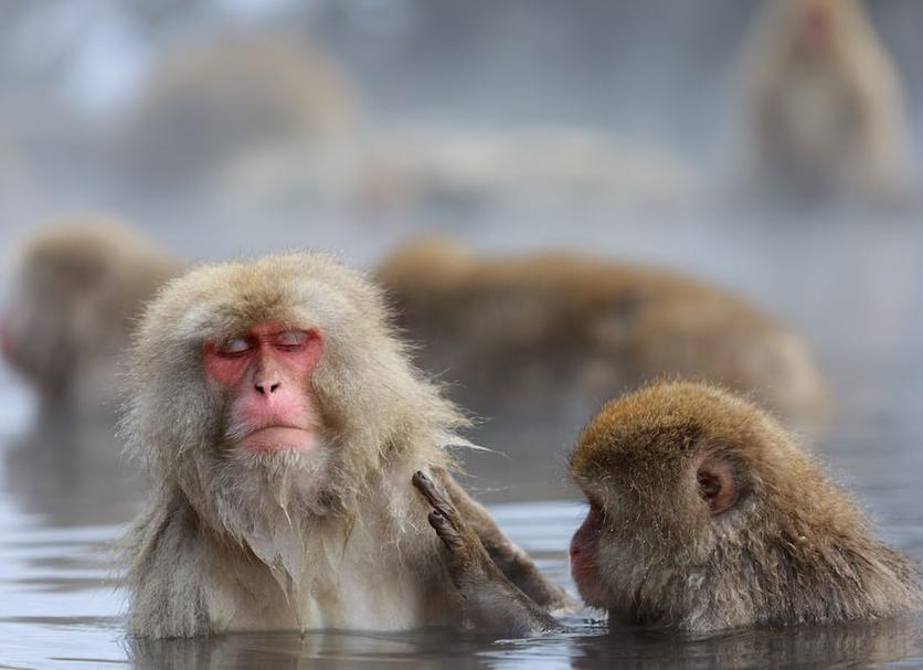 기타 사진
