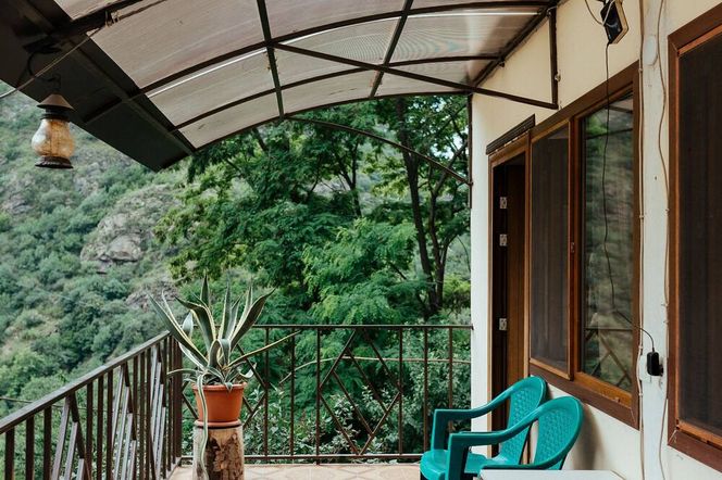 아이리스 아코리