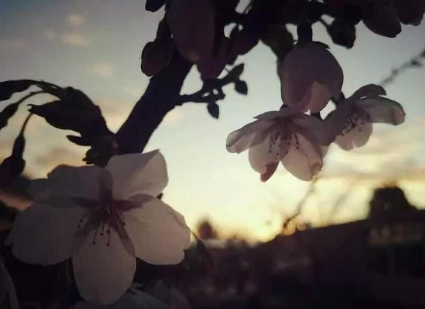 기타 사진