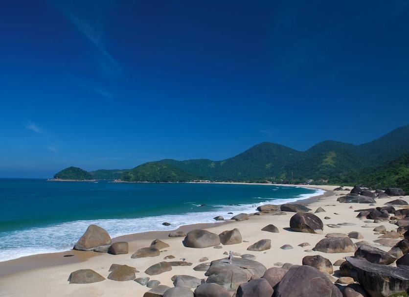 해변 사진