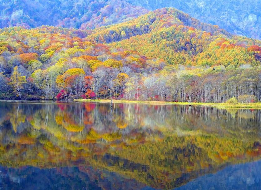 야외뷰 사진