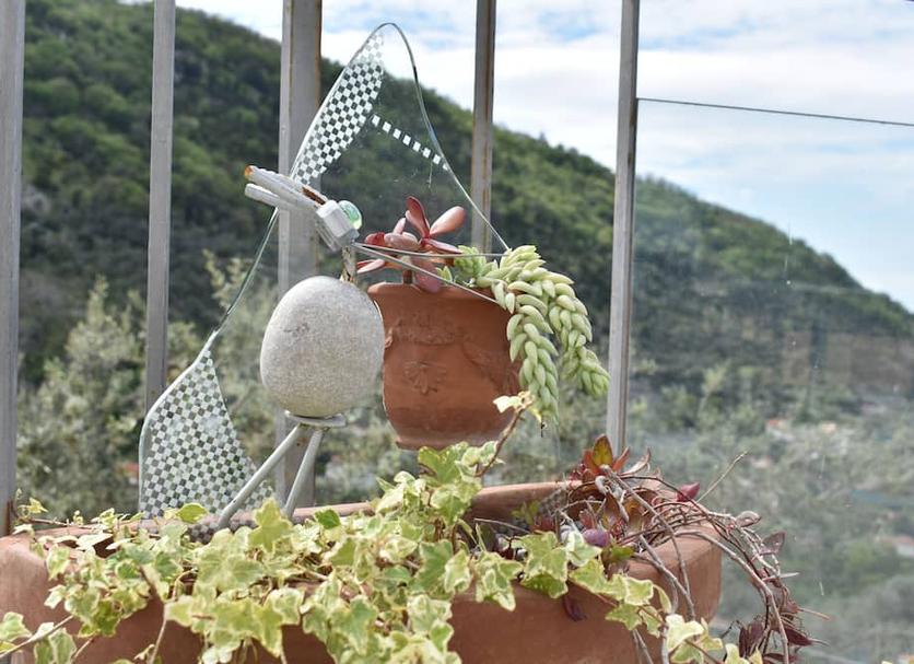 기타 사진