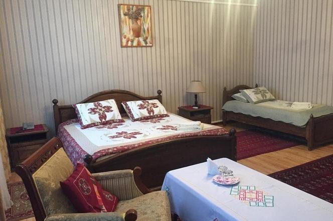 지페크 졸리 인