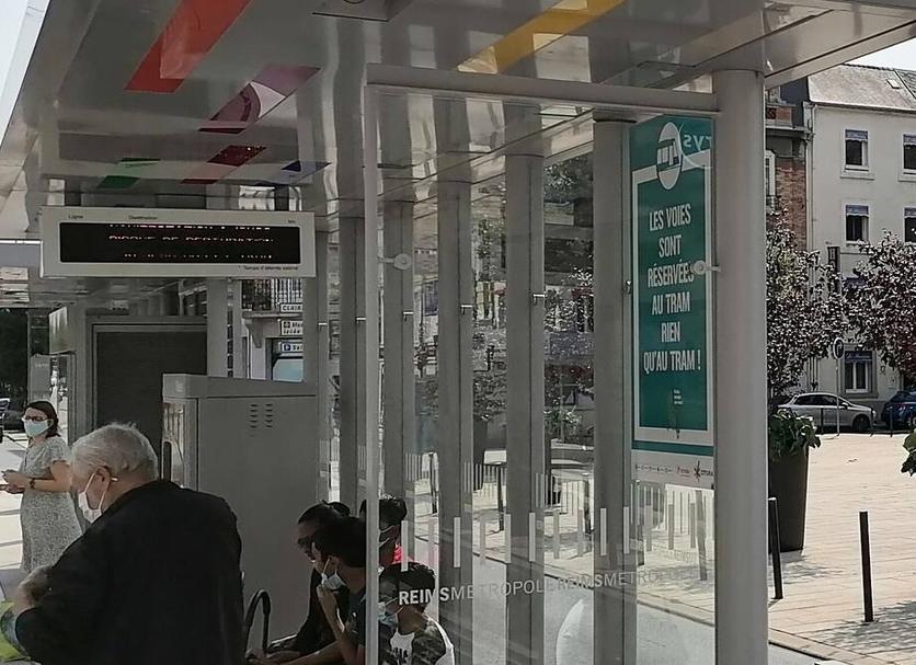 기타 사진