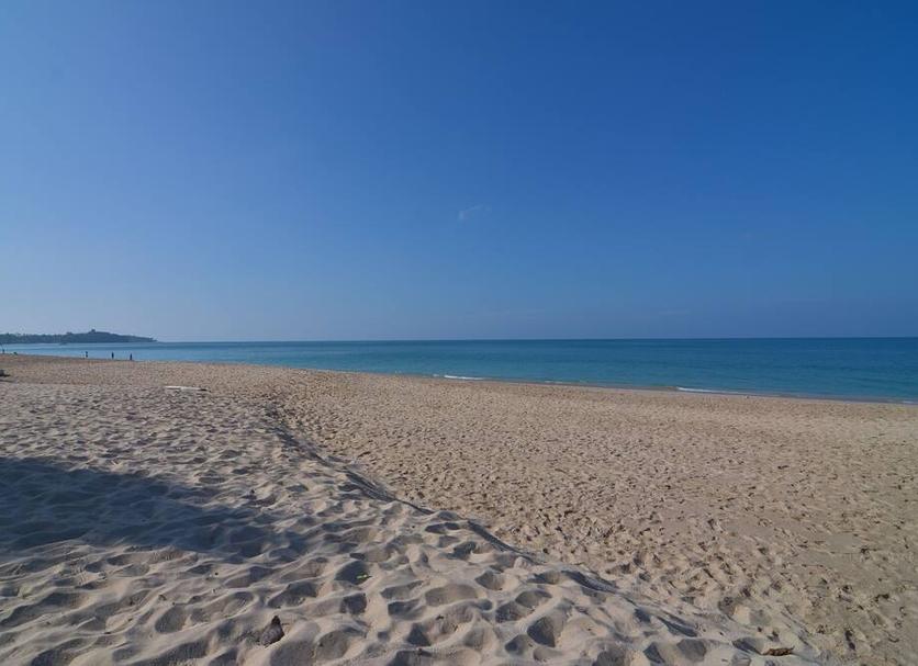 해변 사진