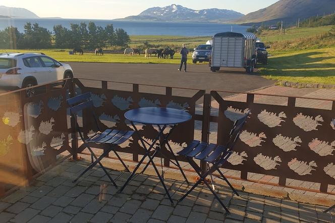 호텔 스벤야나거르디