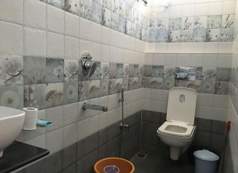 기타 사진