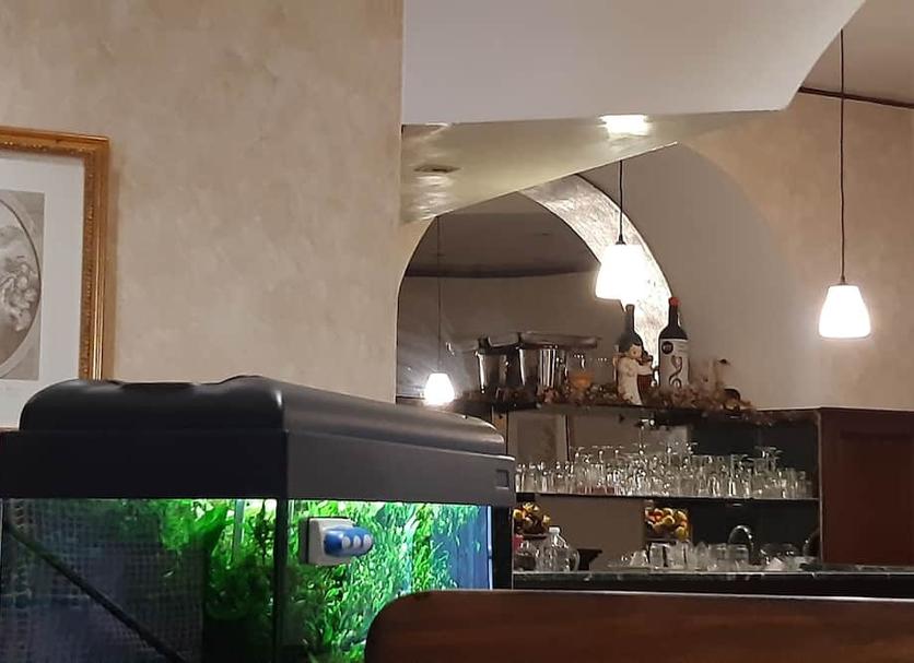기타 사진