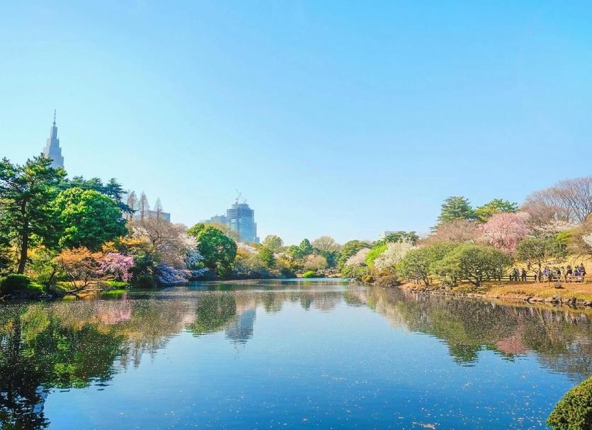 야외뷰 사진