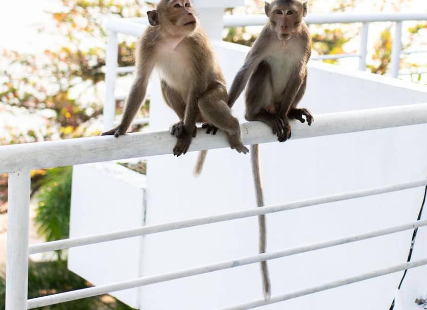 기타 사진