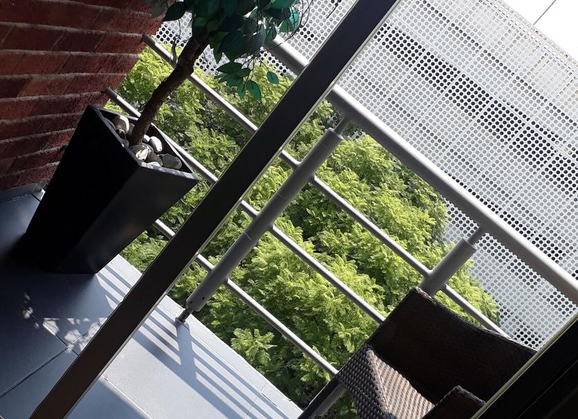기타 사진