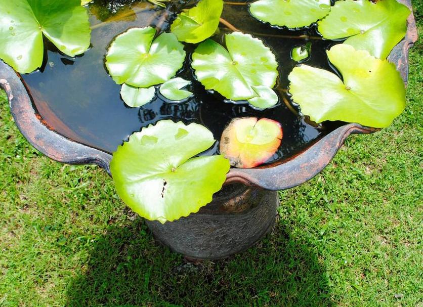 기타 사진