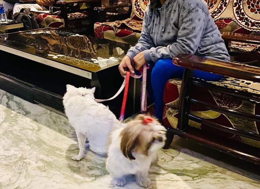 기타 사진