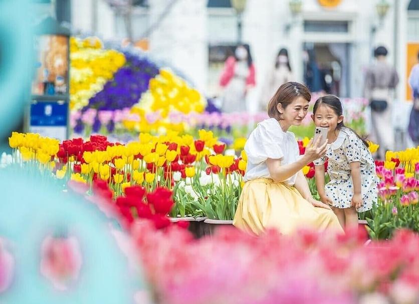 기타 사진