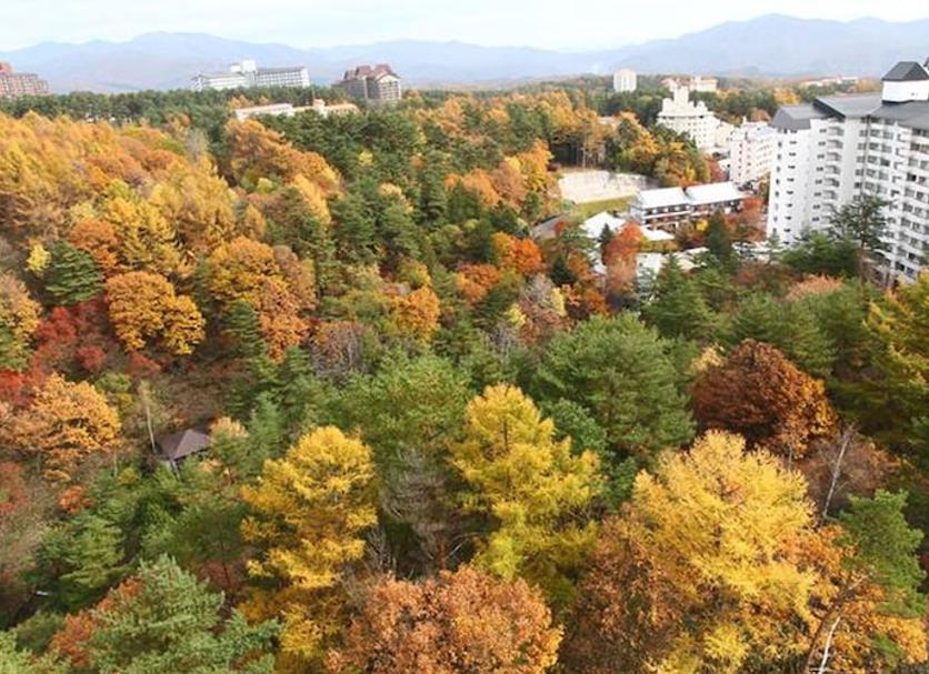 야외뷰 사진