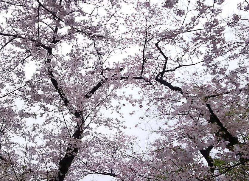 야외뷰 사진