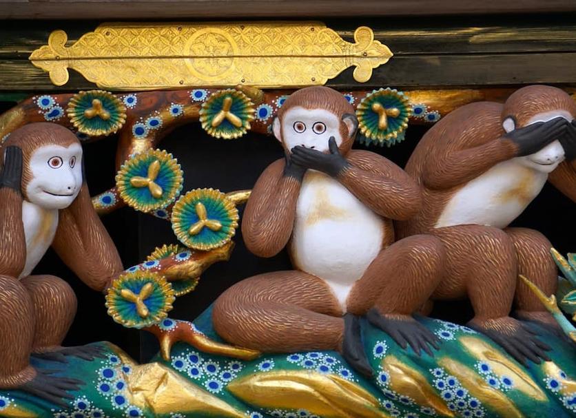 기타 사진
