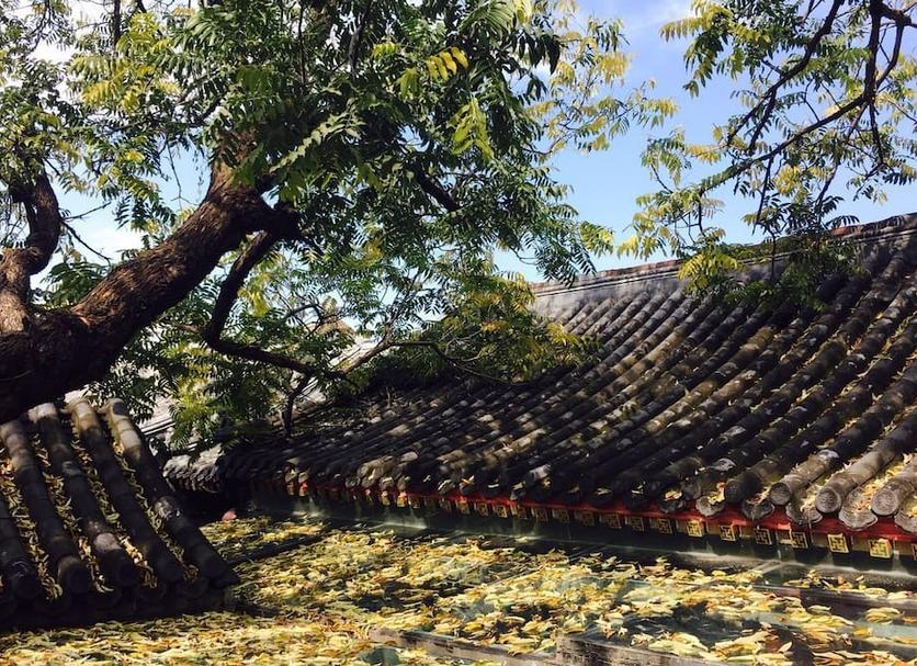 야외뷰 사진