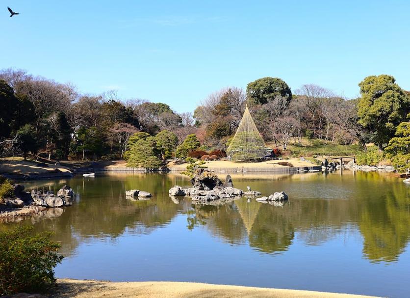 기타 사진